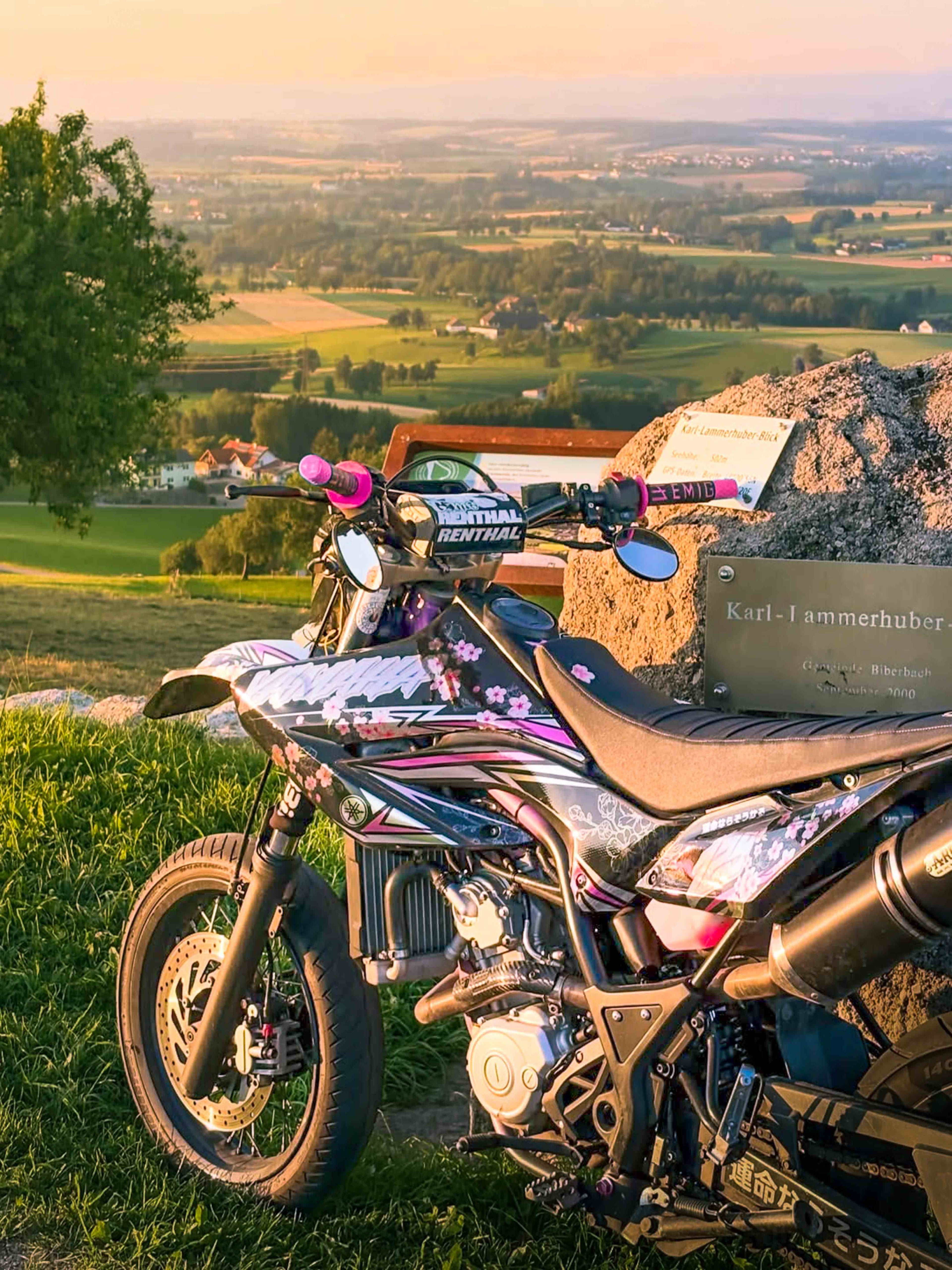 Photo of a decal ridden by Vici.sxr